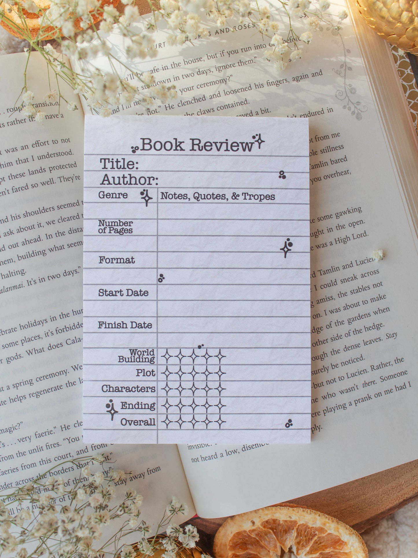 4x6 Book Review Post-it Notepad | Type Writer