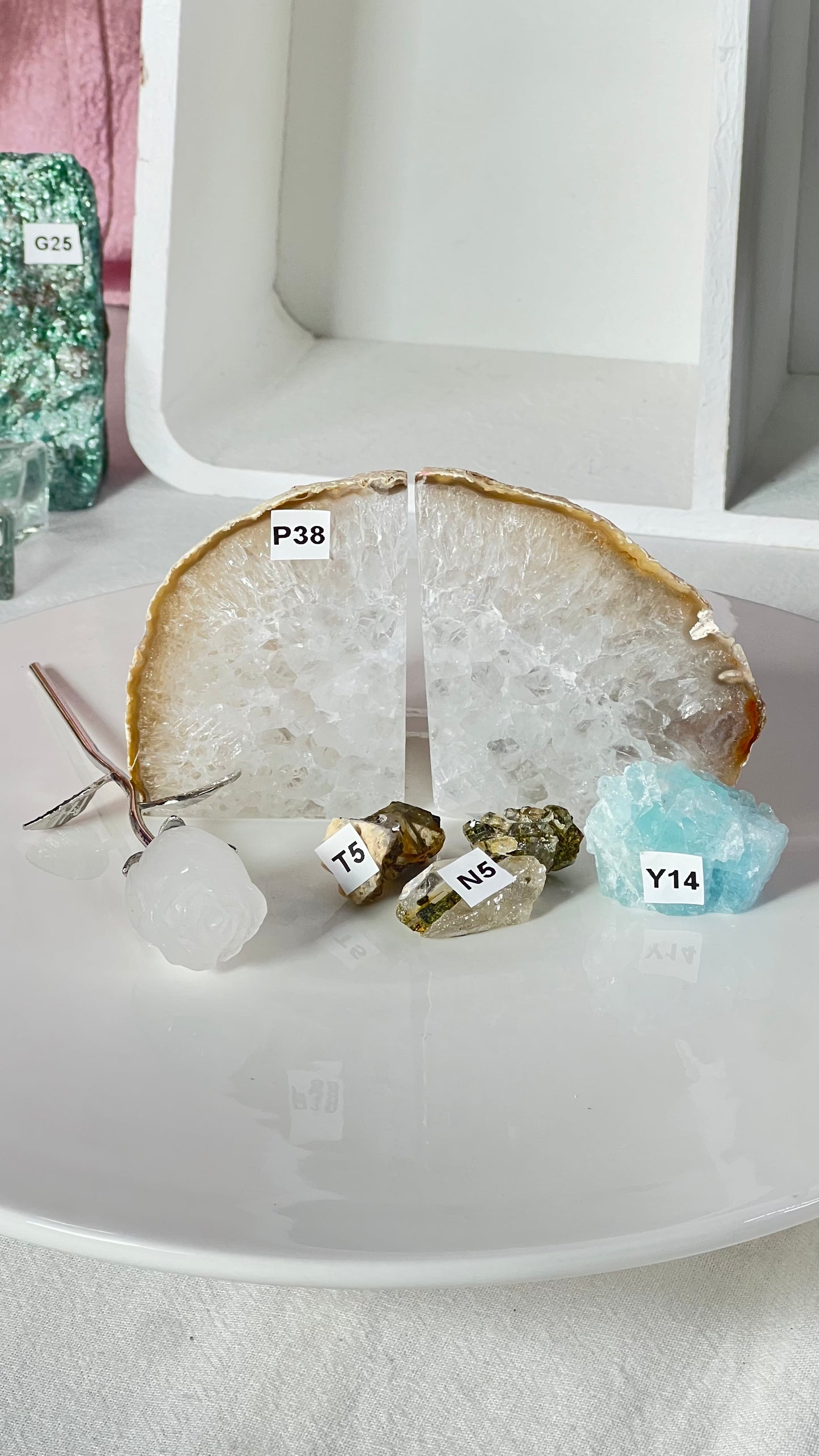 Michelle kelly bundle