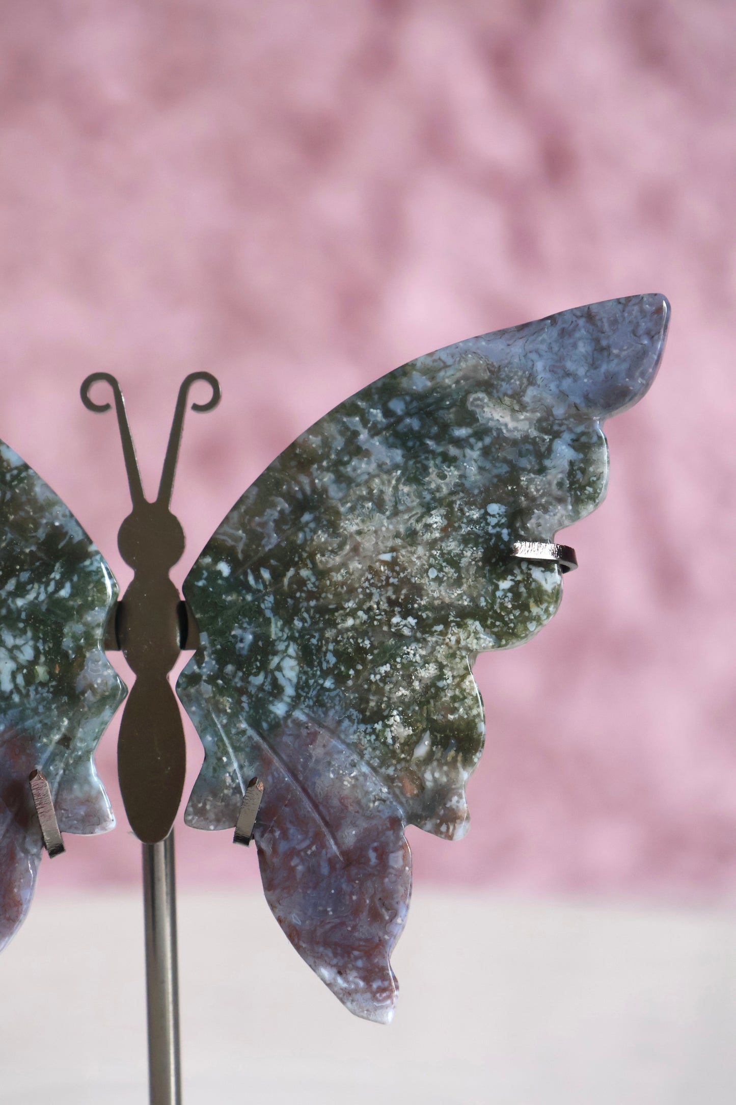 Butterfly Wings - Ocean Jasper (F)
