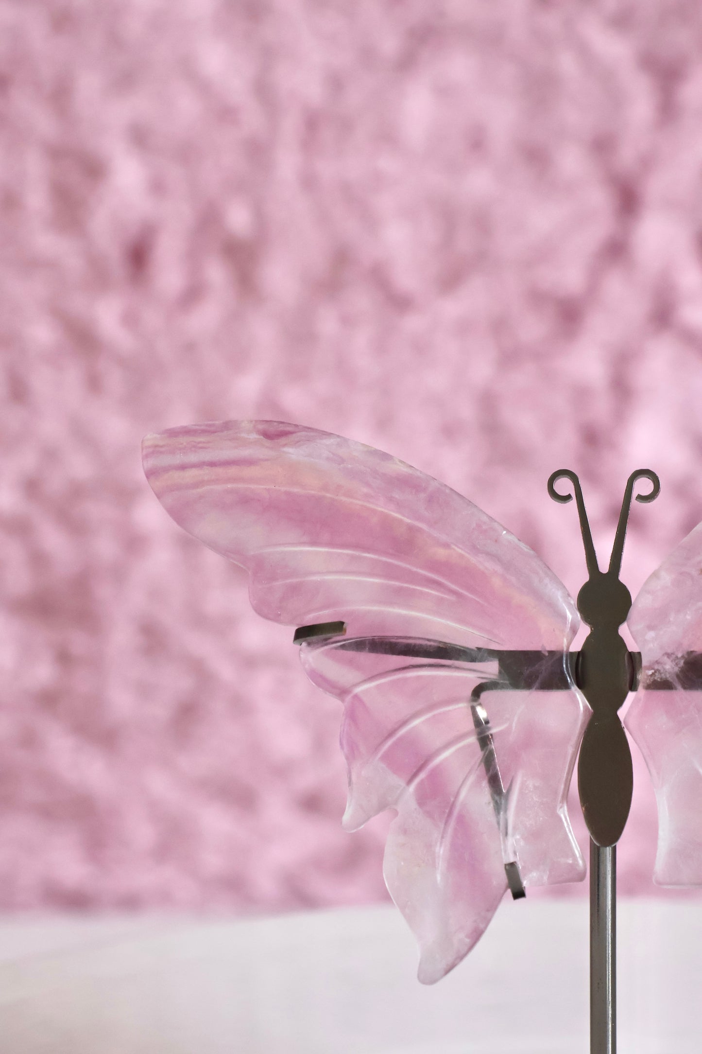 Butterfly Wings - Fluorite (K)