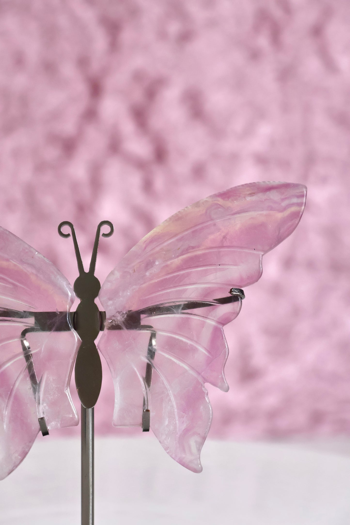 Butterfly Wings - Fluorite (K)