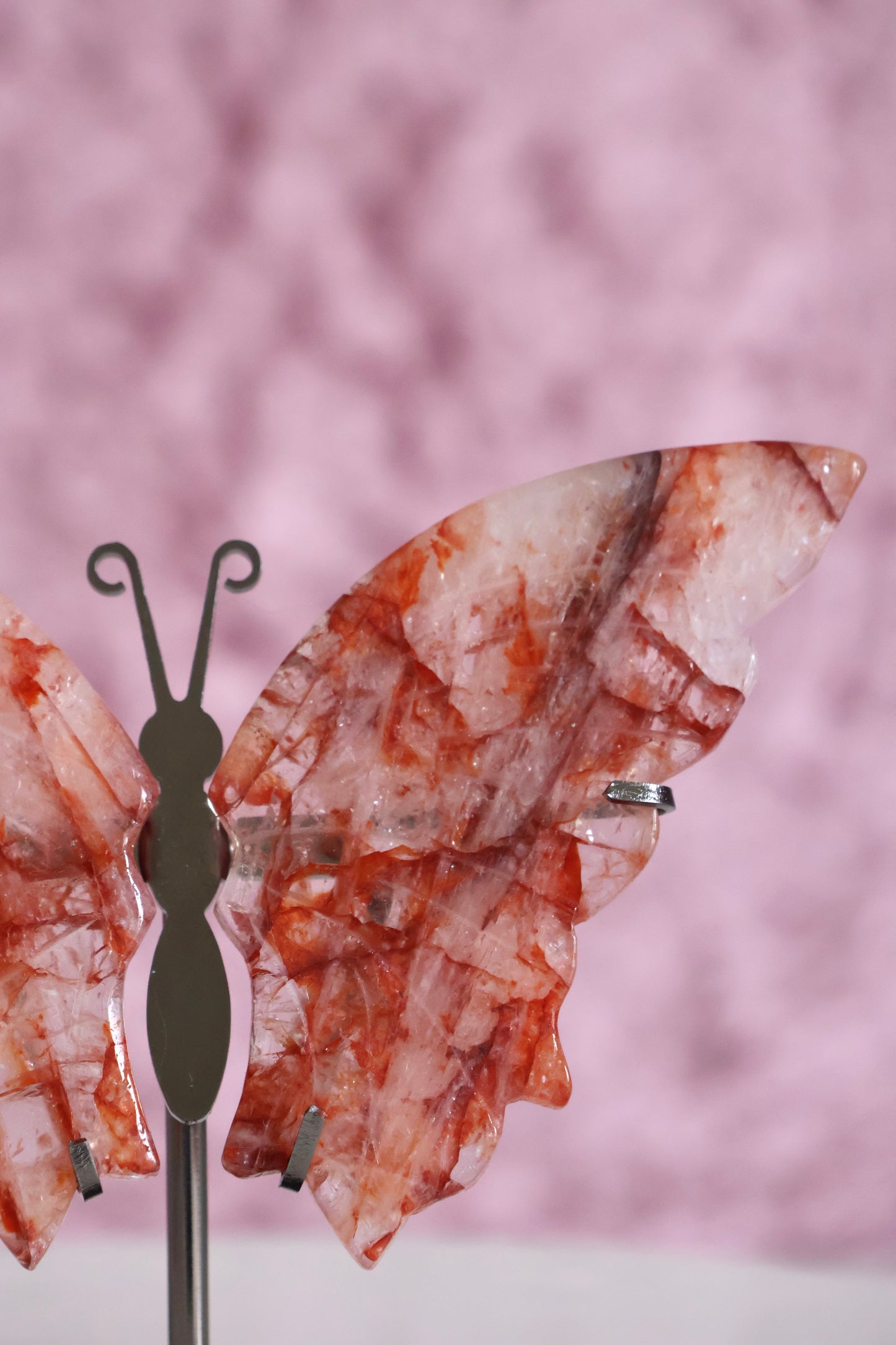 Butterfly Wings - Fire Quartz (P)