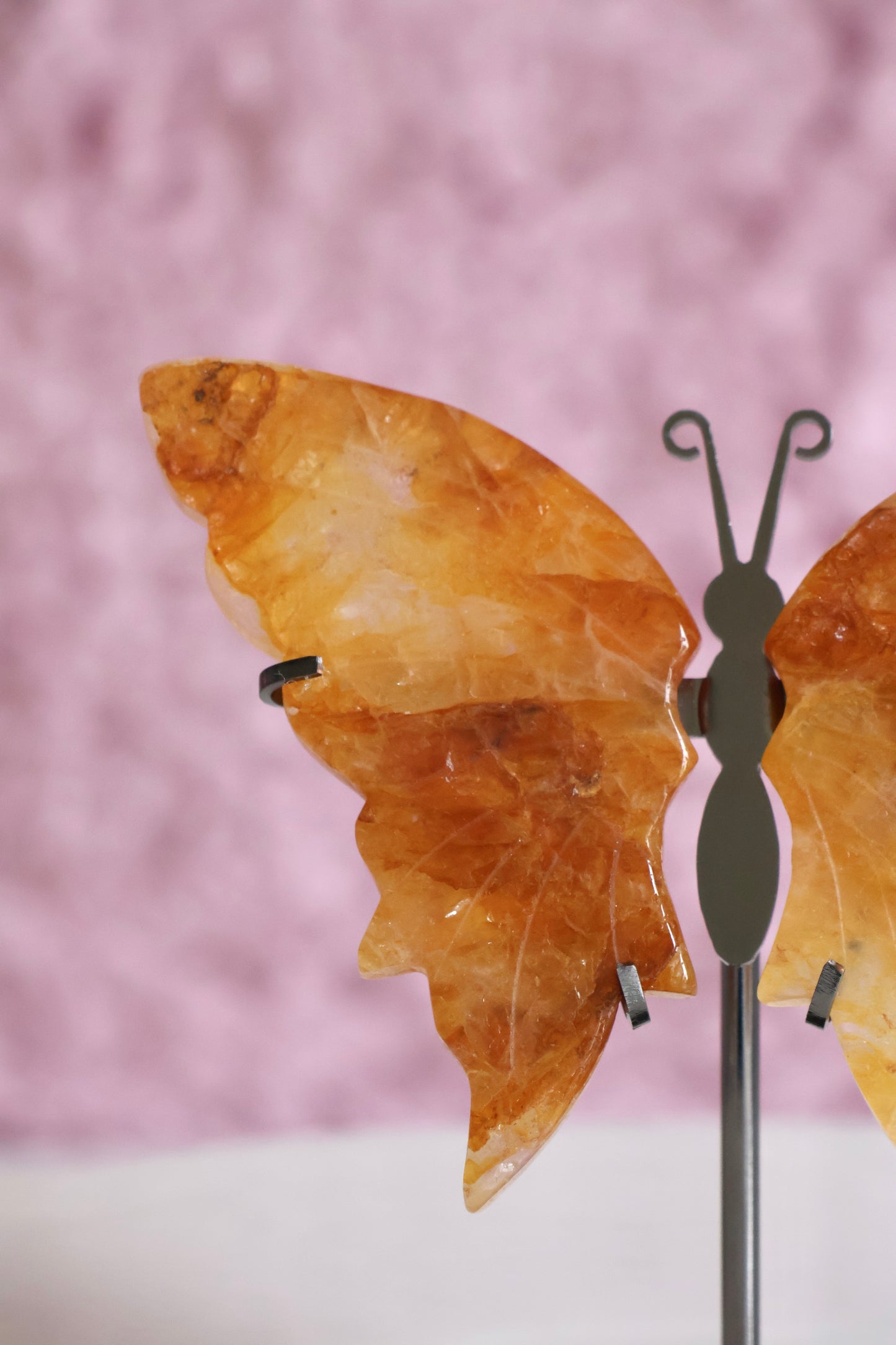 Butterfly Wings - Golden Healer (V)