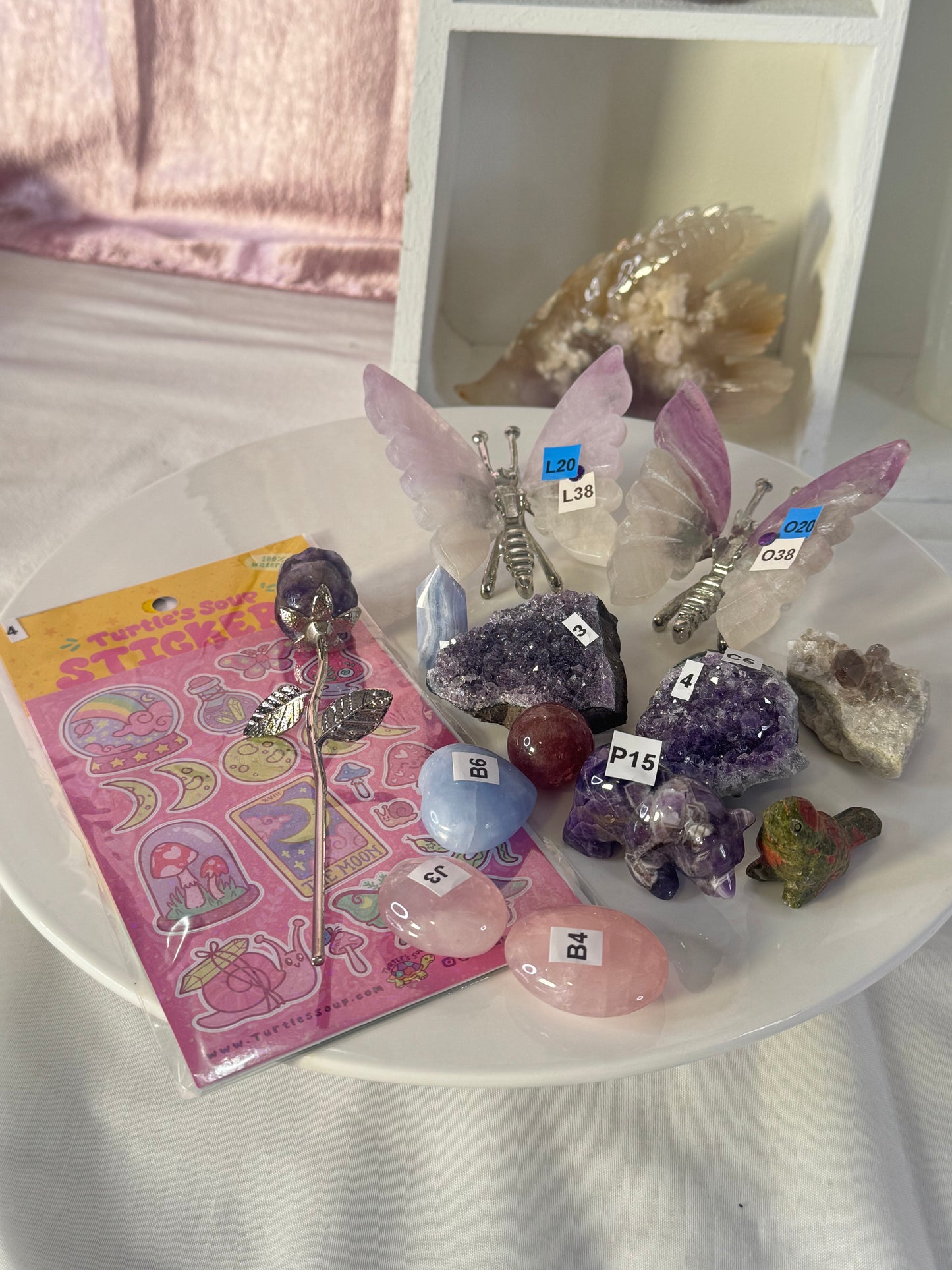 Fiesty bundle