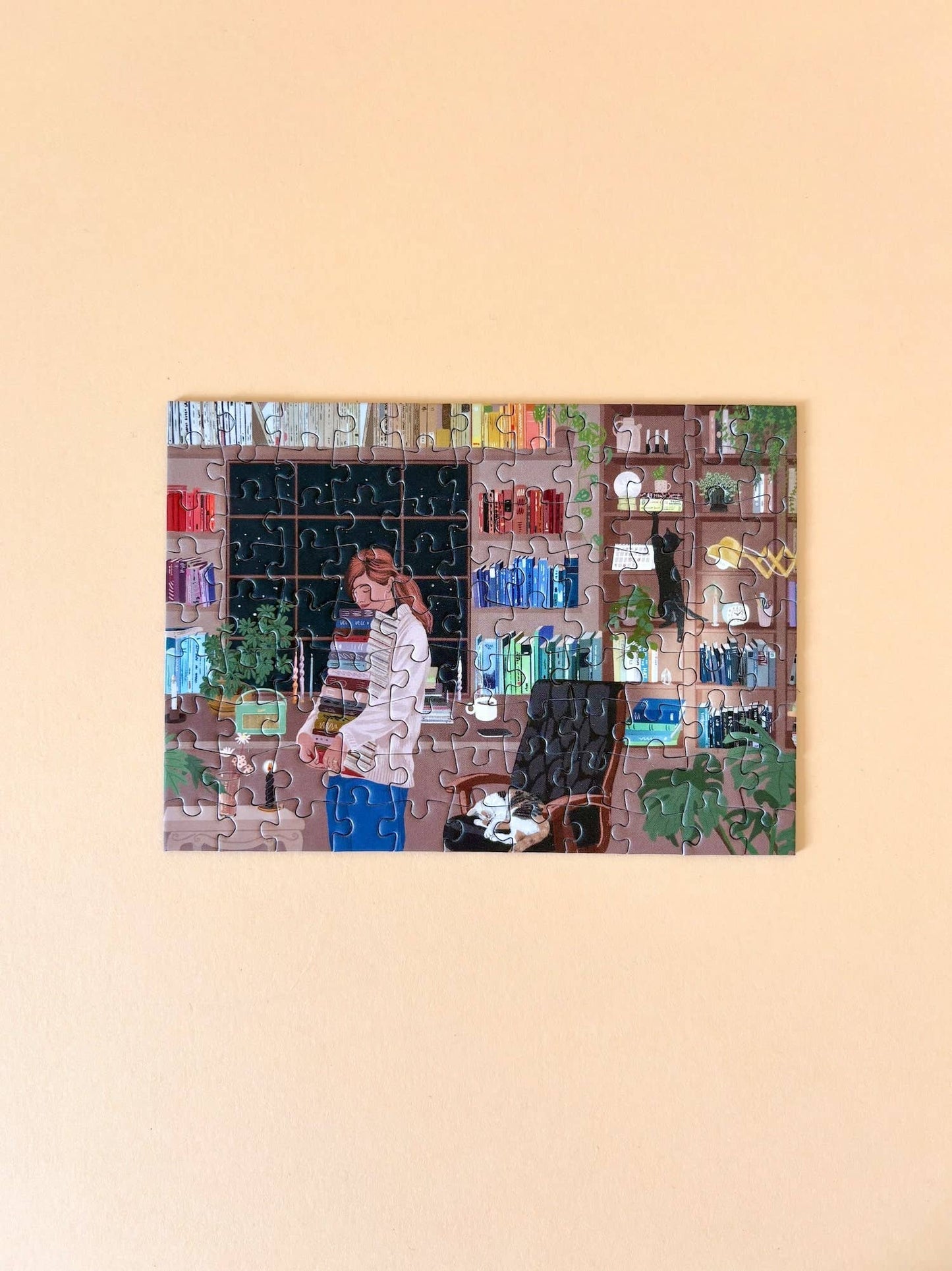 Mini-Puzzle Reading Room, 99 pieces