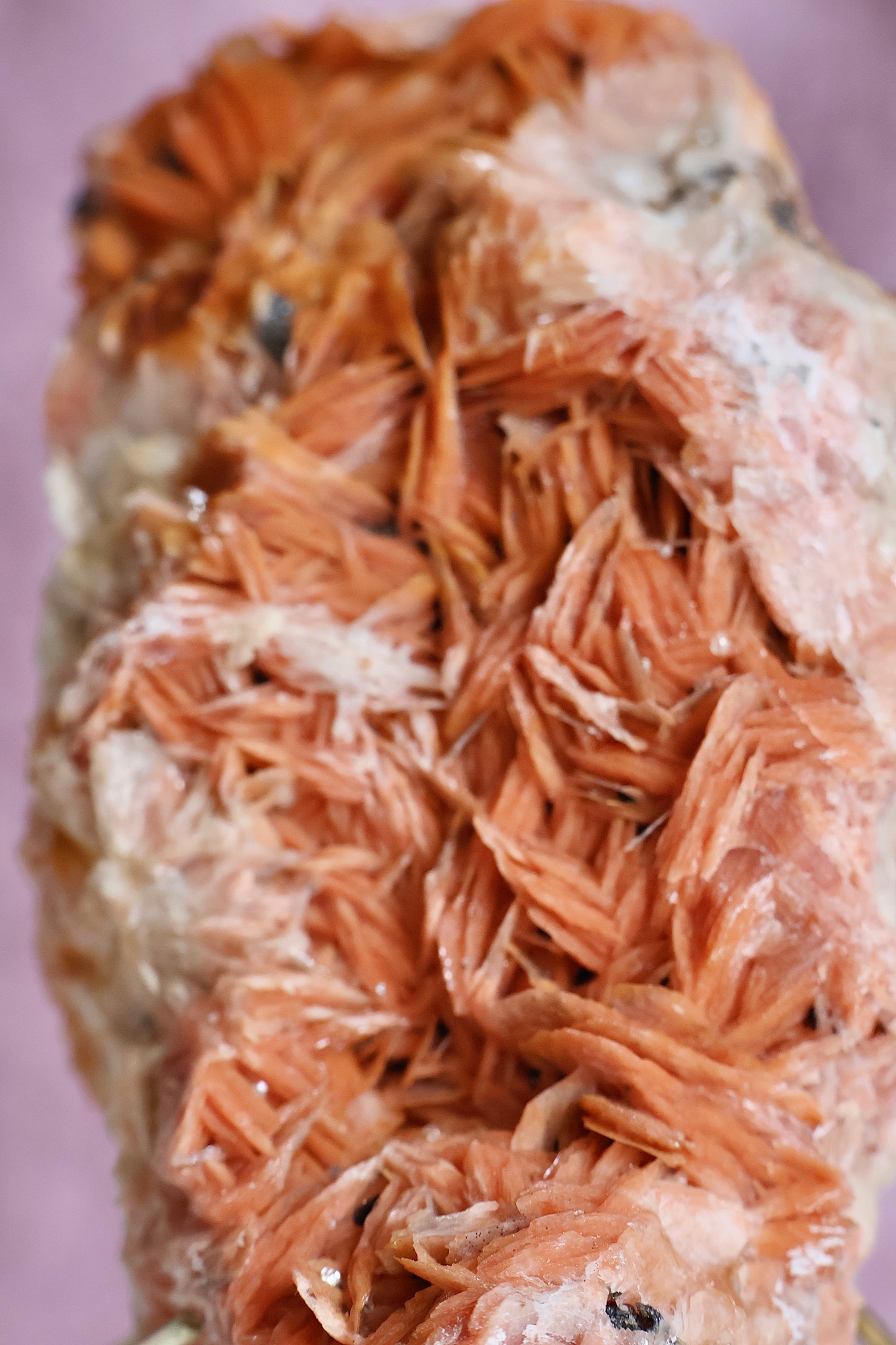 Orange Barite Cluster on Stand