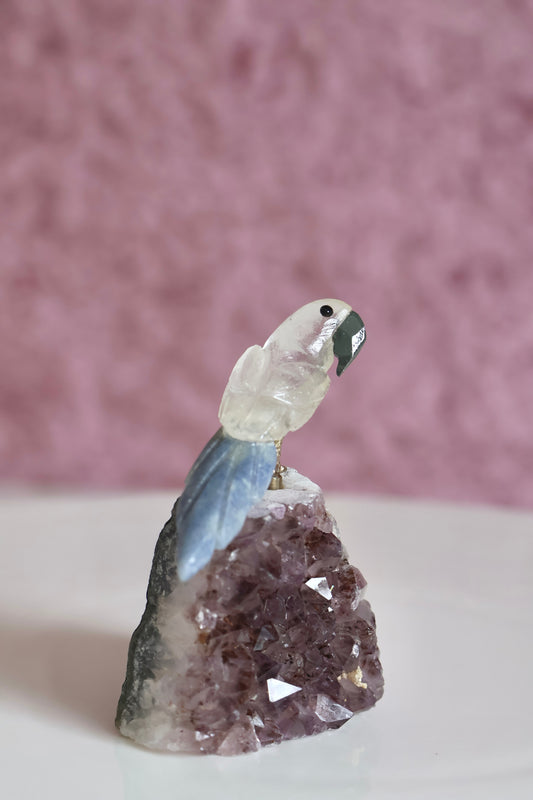 Clear Quartz Bird on Amethyst