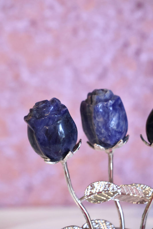 Sodalite Rose - Silver