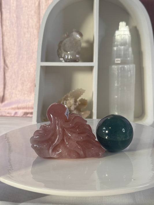 Octopus bundle