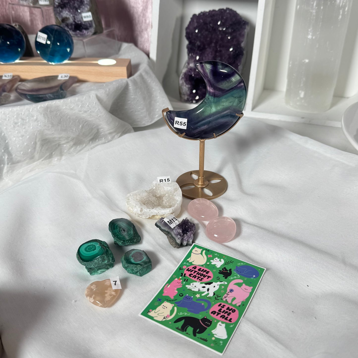 fiesty bundle