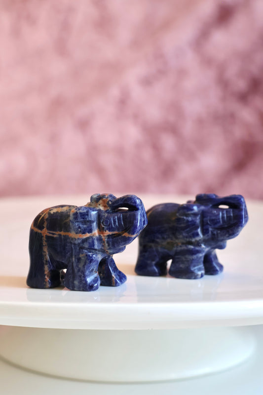 Sodalite Elephant